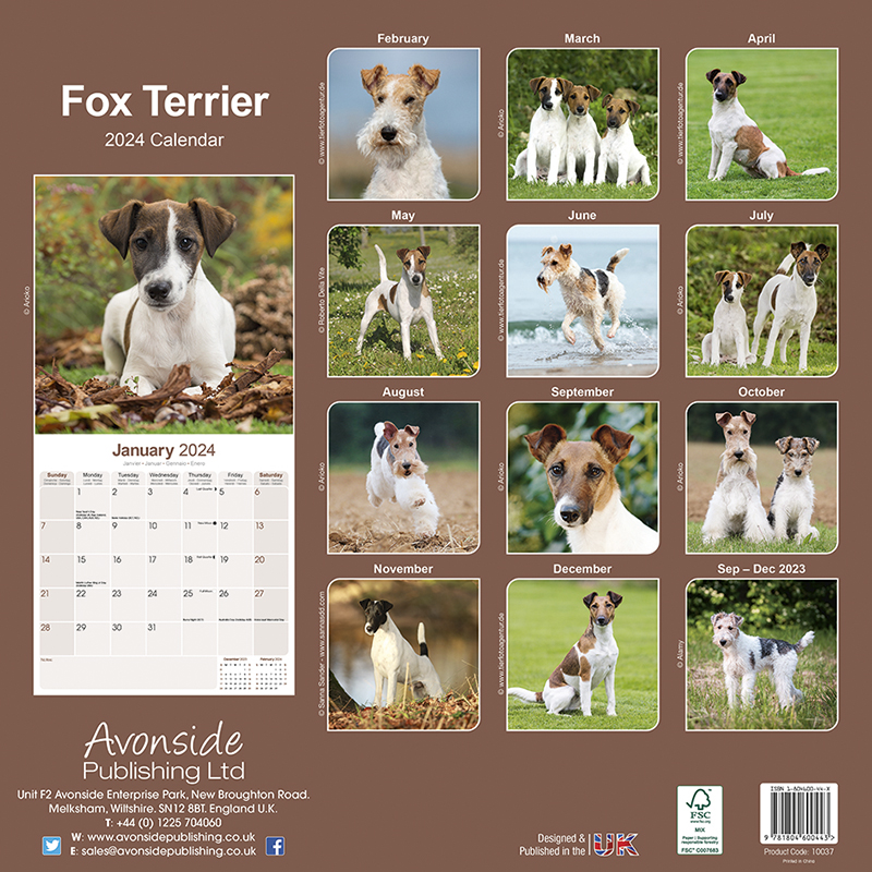 Wirehaired Fox Terrier Calendar 2024 (Square) Dogs Naturally
